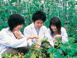 農学部 温室