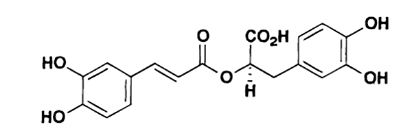 エゴマの抗酸化成分であるロズマリン酸の構造