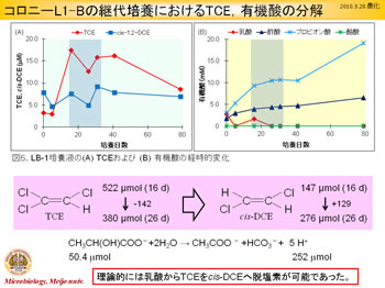 TCE分解データ